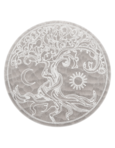 copy of 